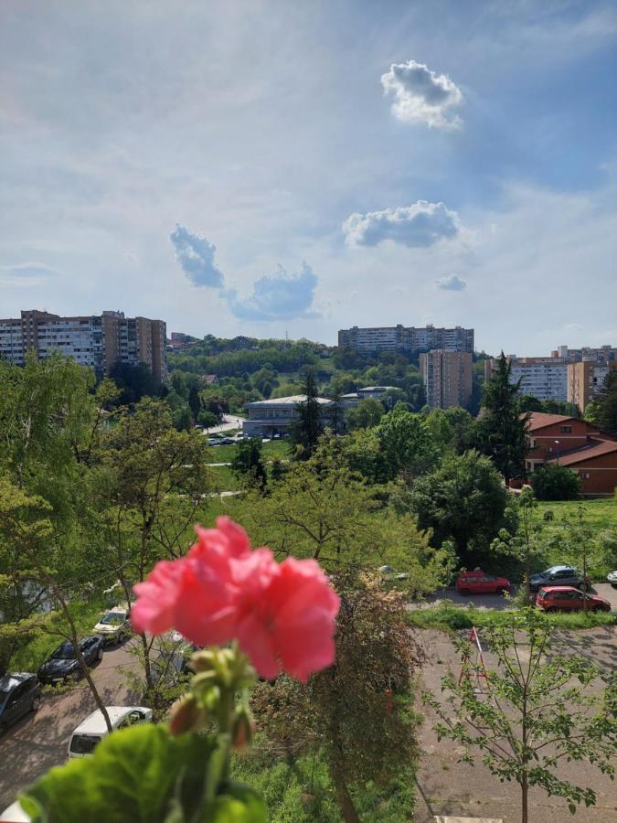 Retro Cosy Apartment Belgrad Exterior foto